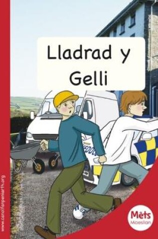 Cover of Mêts Maesllan: Lladrad y Gelli