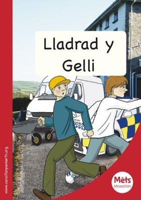 Book cover for Mêts Maesllan: Lladrad y Gelli