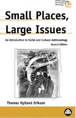 Cover of Small Places, Large Issues: An Introduction to Social and Cultural Anthropology