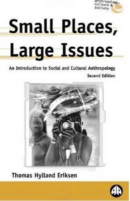 Book cover for Small Places, Large Issues: An Introduction to Social and Cultural Anthropology