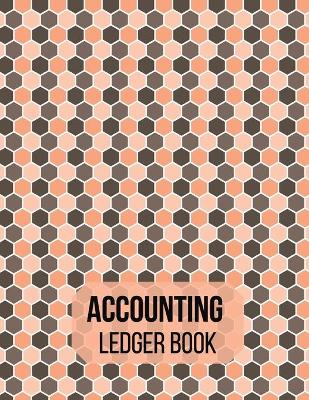 Book cover for Accounting Ledger book