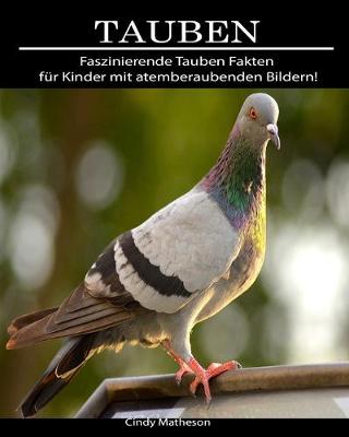 Book cover for Tauben
