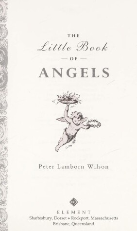 Book cover for The Little Book of Angels