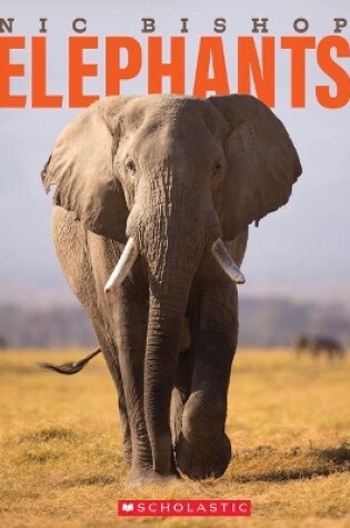 Cover of Nic Bishop Elephants