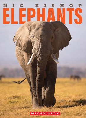 Book cover for Nic Bishop Elephants