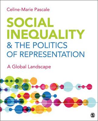 Book cover for Social Inequality & the Politics of Representation