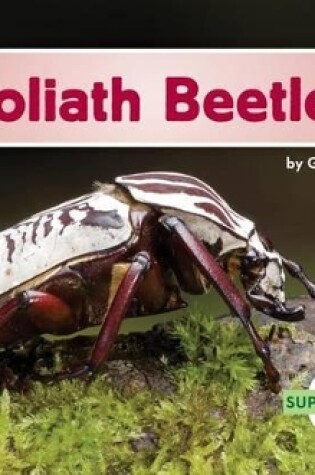 Cover of Goliath Beetles