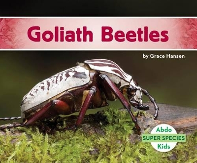 Cover of Goliath Beetles