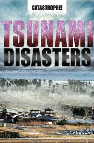 Cover of Tsunami Disasters