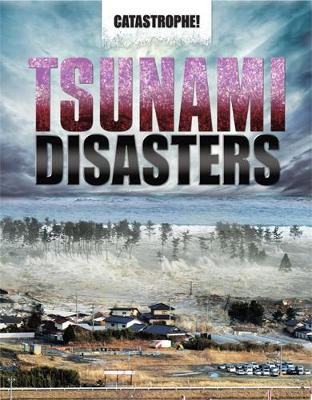 Cover of Tsunami Disasters