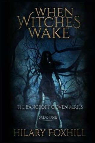 Cover of When Witches Wake