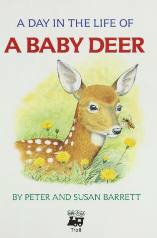 Cover of A Day in the Life of a Baby Deer