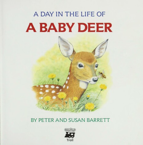 Book cover for A Day in the Life of a Baby Deer