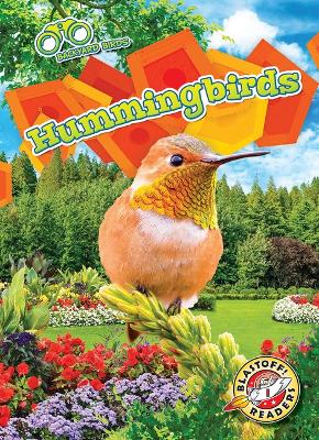 Book cover for Hummingbirds