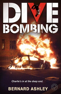 Book cover for Dive Bombing