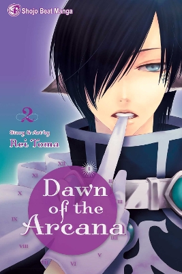 Cover of Dawn of the Arcana, Vol. 2