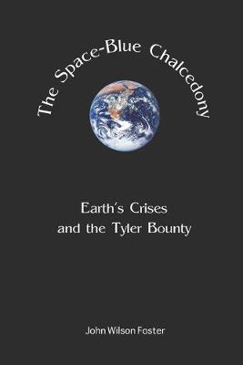 Book cover for The Space Blue Chalcedony