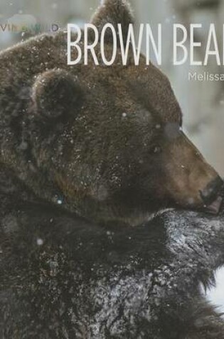 Cover of Brown Bears