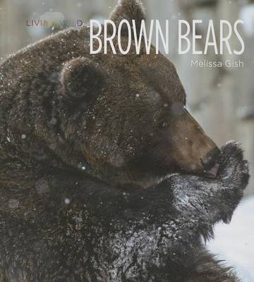 Cover of Brown Bears