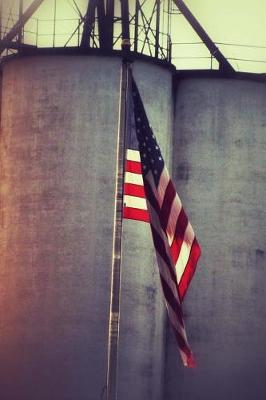 Book cover for An American Flag at the Grain Silo in Iowa