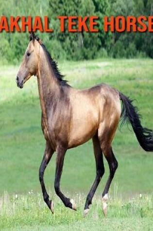 Cover of Akhal Teke Horse