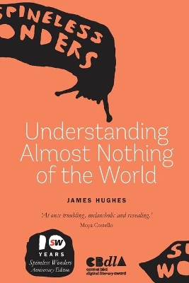Book cover for Understanding Almost Nothing of the World