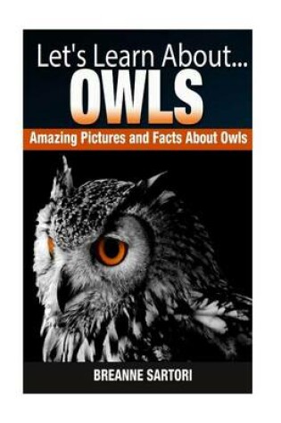 Cover of Owls