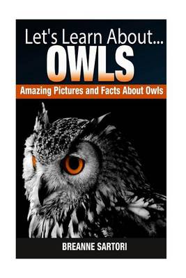 Book cover for Owls