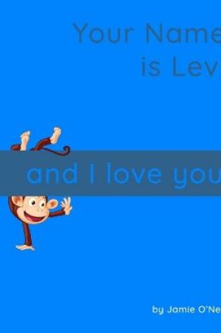 Cover of My Name is Levi and I Love You.