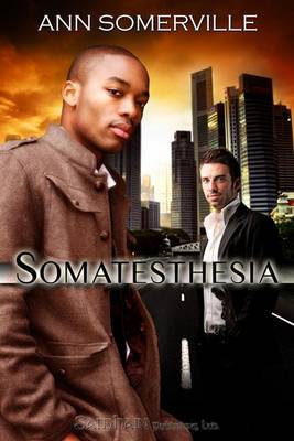 Book cover for Somatesthesia