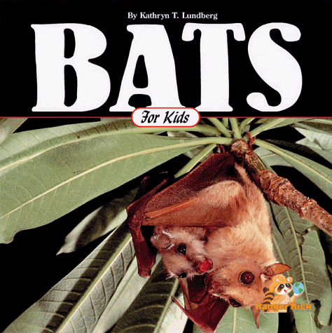 Book cover for Bats for Kids