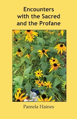 Book cover for Encounters with the Sacred and the Profane