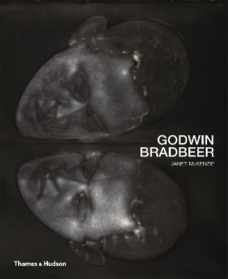 Book cover for Godwin Bradbeer