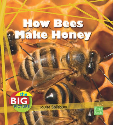 Book cover for How Bees Make Honey
