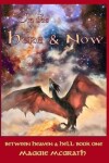 Book cover for In the Here and Now