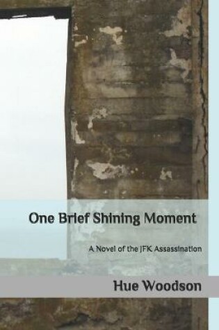 Cover of One Brief Shining Moment