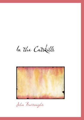Book cover for In the Catskills
