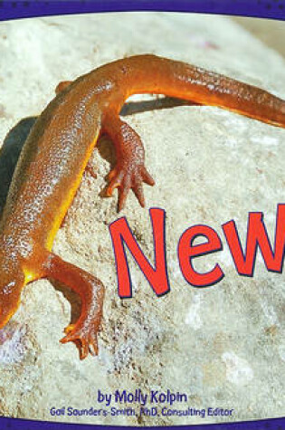 Cover of Newts