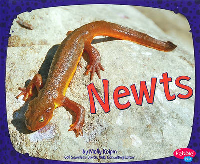 Cover of Newts