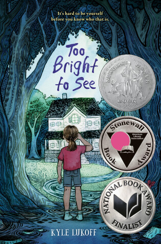 Book cover for Too Bright to See