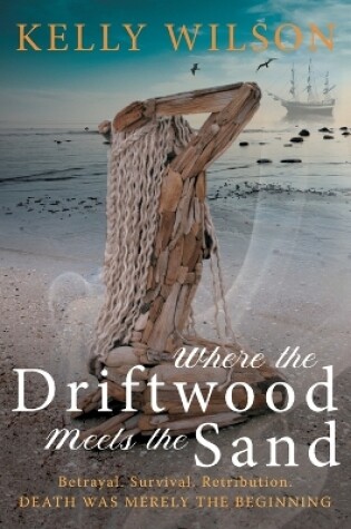 Cover of Where the Driftwood meets the Sand