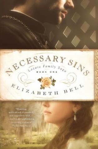 Cover of Necessary Sins