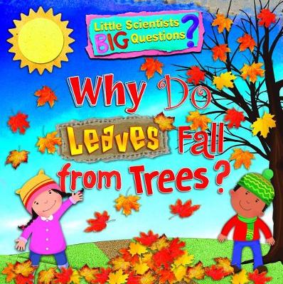 Book cover for Why Do Leaves Fall from Trees?