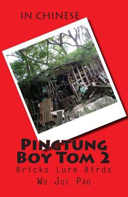 Book cover for Pingtung Boy Tom 2