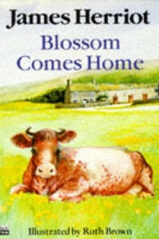 Cover of Blossom Comes Home