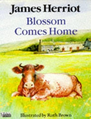 Book cover for Blossom Comes Home