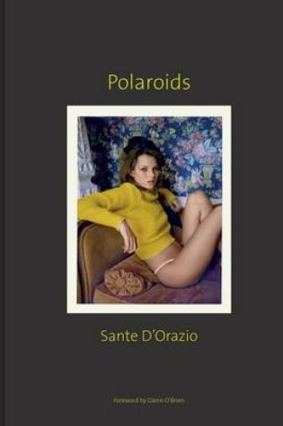 Cover of Sante d'Orazio: Polaroids