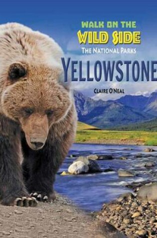 Cover of Yellowstone