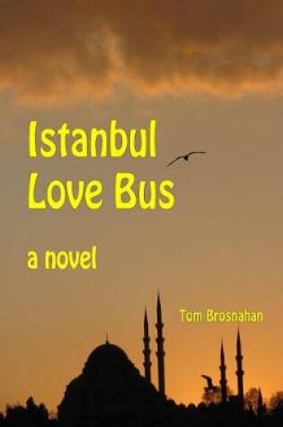 Cover of Istanbul Love Bus