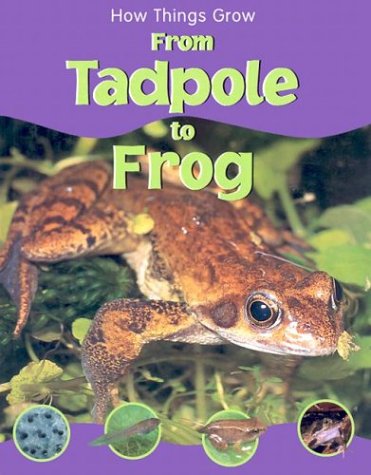 Cover of From Tadpole to Frog